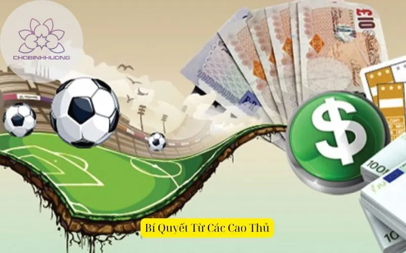 Bí Quyết Từ Các Cao Thủ