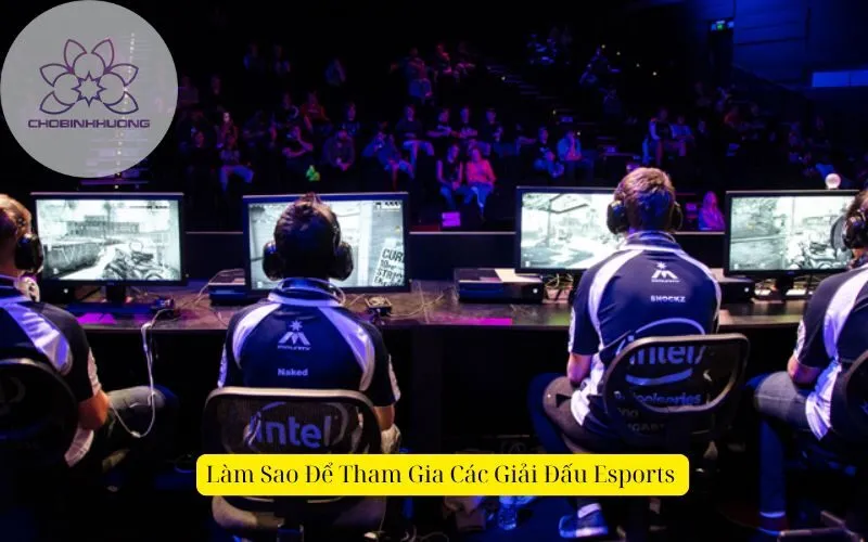 Làm Sao Để Tham Gia Các Giải Đấu Esports 