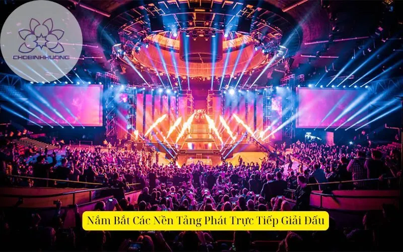 Nắm Bắt Các Nền Tảng Phát Trực Tiếp Giải Đấu