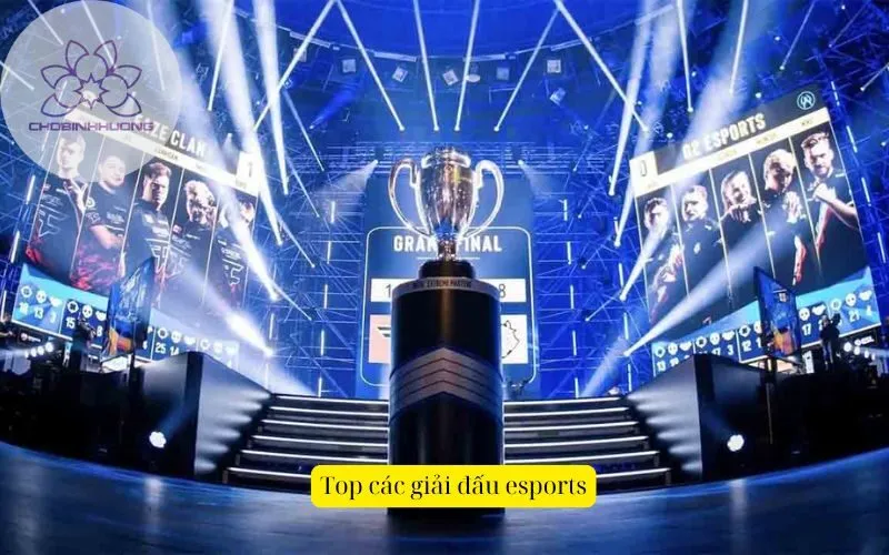 Top các giải đấu esports