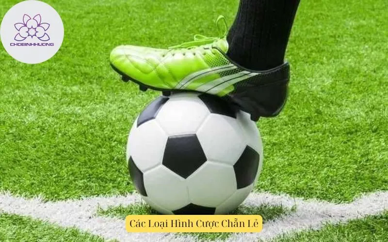 Các Loại Hình Cược Chẵn Lẻ