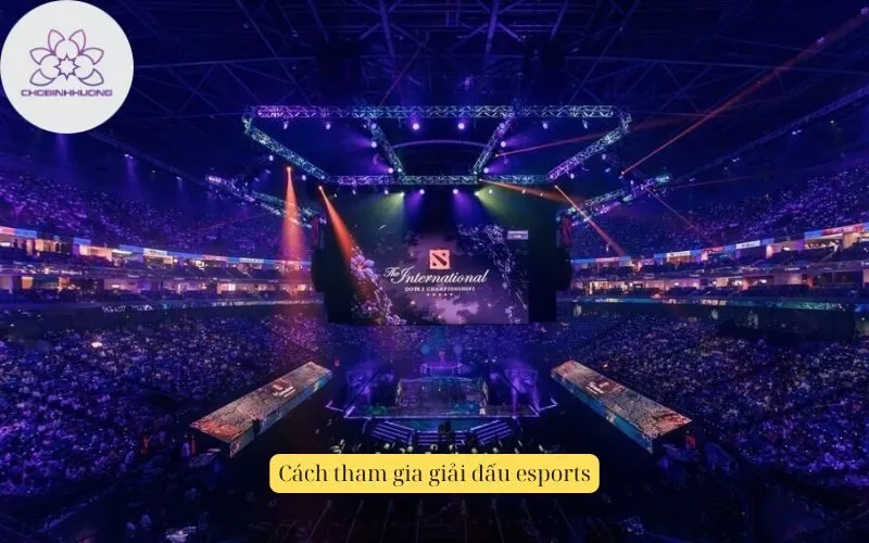 Cách tham gia giải đấu esports