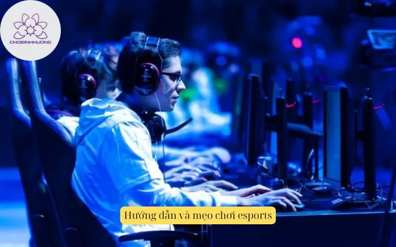 Hướng dẫn và mẹo chơi esports