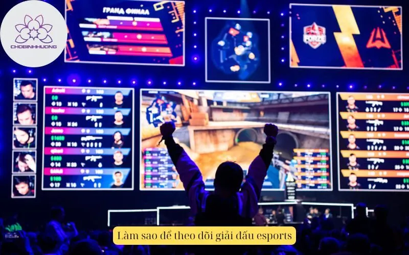 Làm sao để theo dõi giải đấu esports