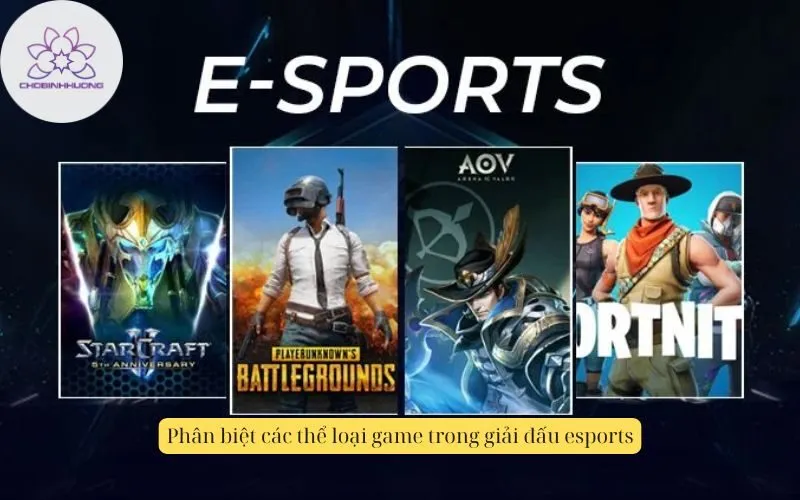 Phân biệt các thể loại game trong giải đấu esports