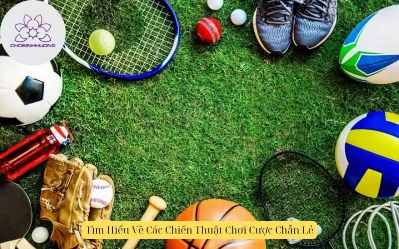 Tìm Hiểu Về Các Chiến Thuật Chơi Cược Chẵn Lẻ