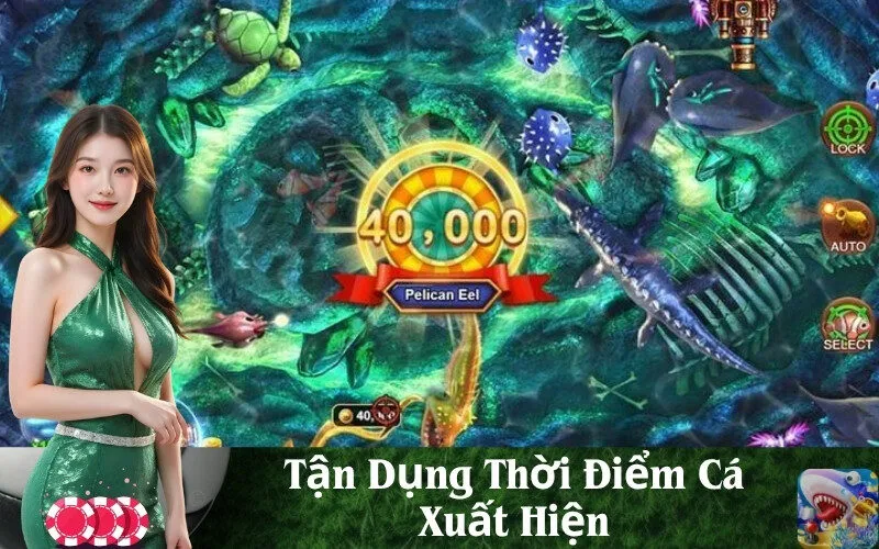 Tận Dụng Thời Điểm Cá Xuất Hiện