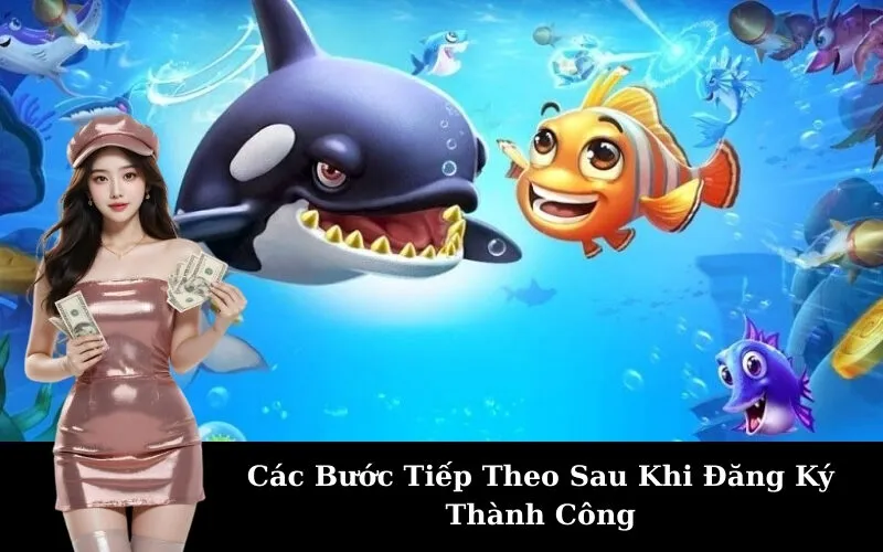 Các Bước Tiếp Theo Sau Khi Đăng Ký Thành Công