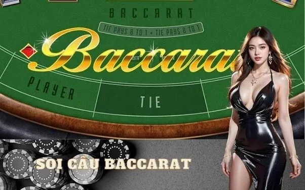 Soi cầu Baccarat